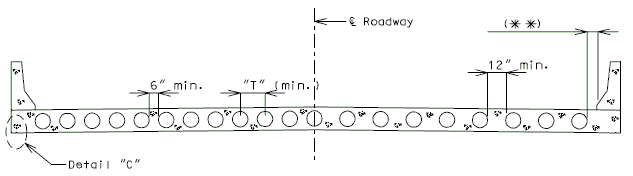 751.20 cont conc slab cip voided slab cross section.gif