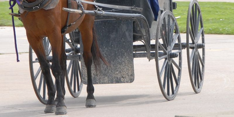 File:616.23.1 non-motorized.jpg